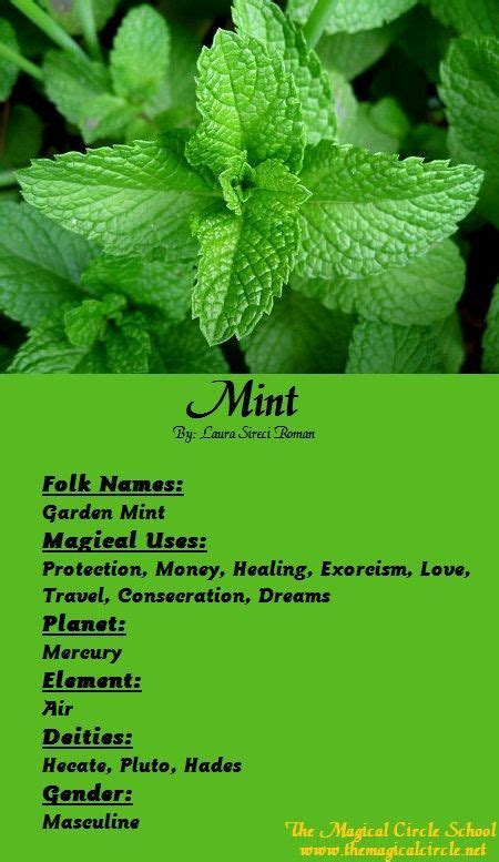 Mint acolyte wicked witchcraft